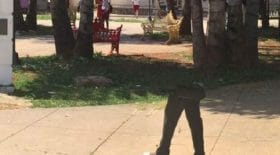 google-street-top-5-plus-gros-fails-