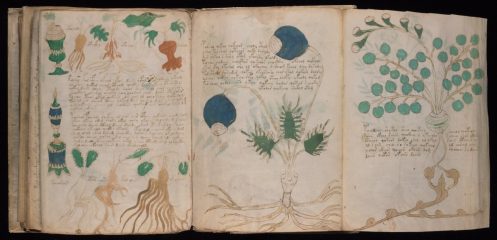 Aucun. spécialiste n'a réussis déchiffrer le manuscrit de Voynich