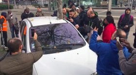 Nantes arbre voiture