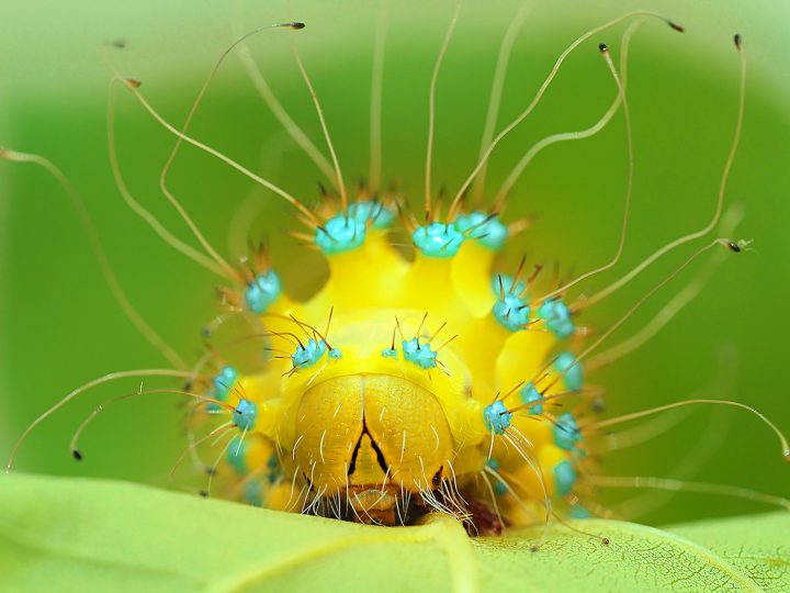 photo NPOTY 25 photographies nature