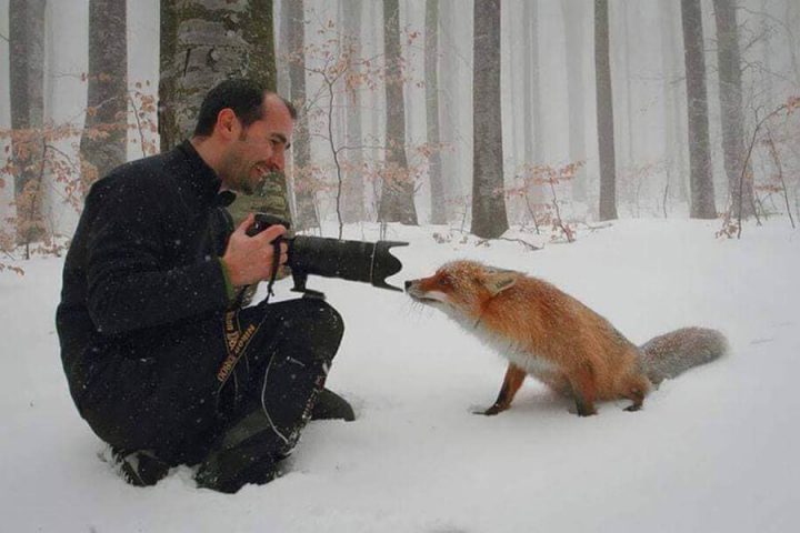 Photos animalières 5