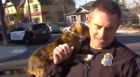 Policier attaqué