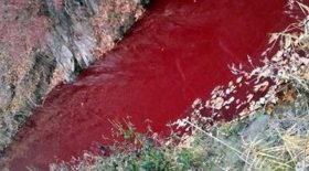 Une rivière remplie de sang