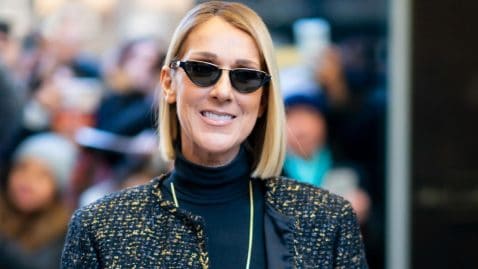 Céline Dion très sexy en mère Noël