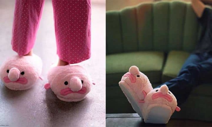 chaussons blobfish