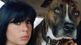 L'identité des chiens responsables de la mort d'Elisa Pilanski dévoilés en février