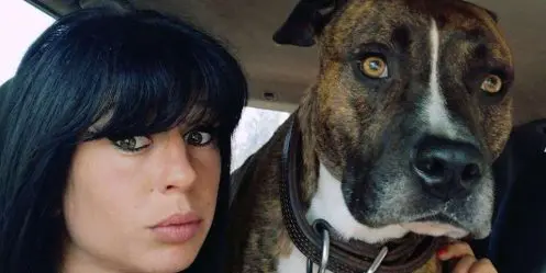 L'identité des chiens responsables de la mort d'Elisa Pilanski dévoilés en février