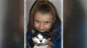 Elle retrouve son chat perdu dans un refuge