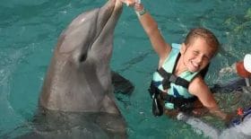 Des dauphins totalement incontrôlables