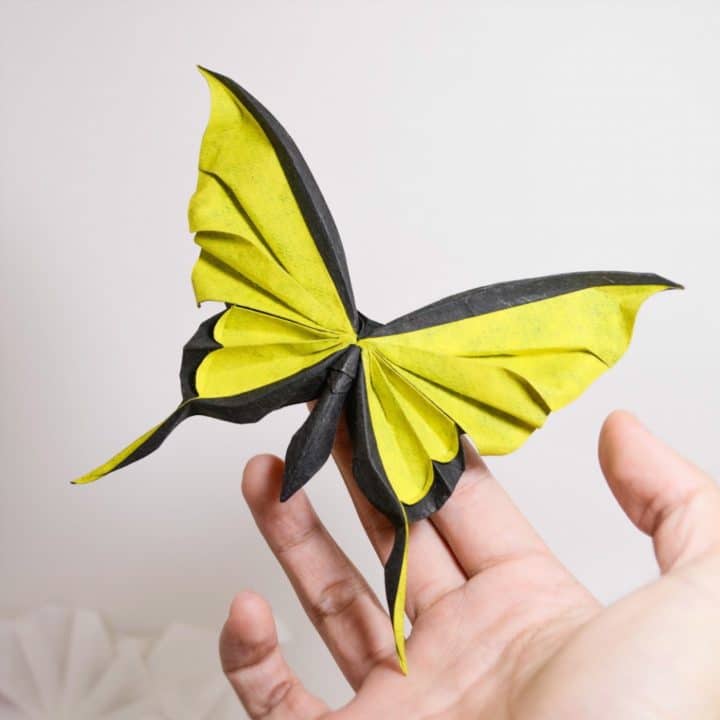 Origami 14