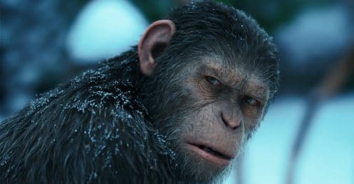 Un nouveau film pour La Planète des Singes