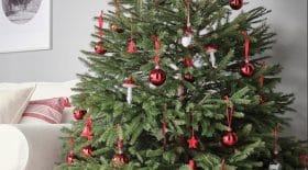 sapin noel
