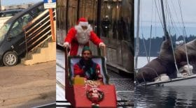 Top 10 faits divers semaine