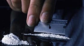 Un journaliste de Vice Canada condamné pour trafic de drogue