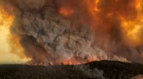 australie a quoi sont dus incendies