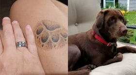 Bague chienne
