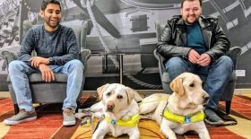 Deux amis aveugles agressés sur leurs chiens-guides