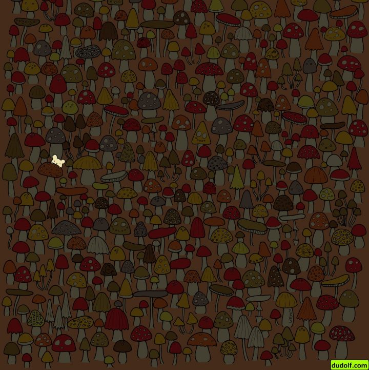 Dudolf personnage caché 19