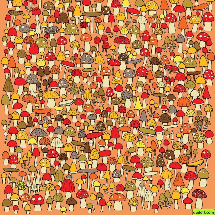 Dudolf personnage caché 7