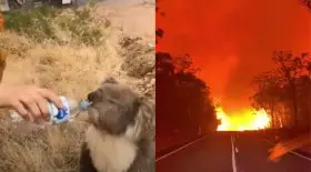 Incendie Australie