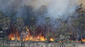 Incendie Australie