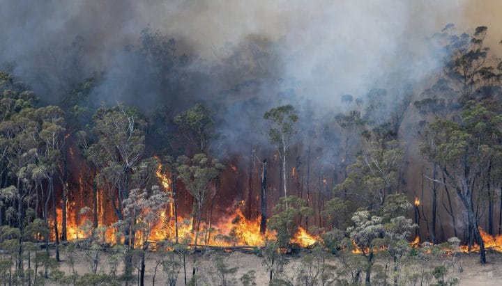 Incendie Australie