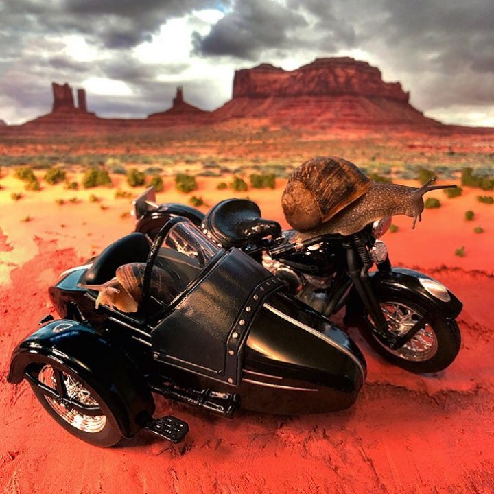 monde miniature escargot 10