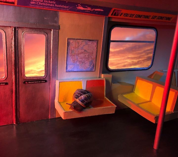 monde miniature escargots 11