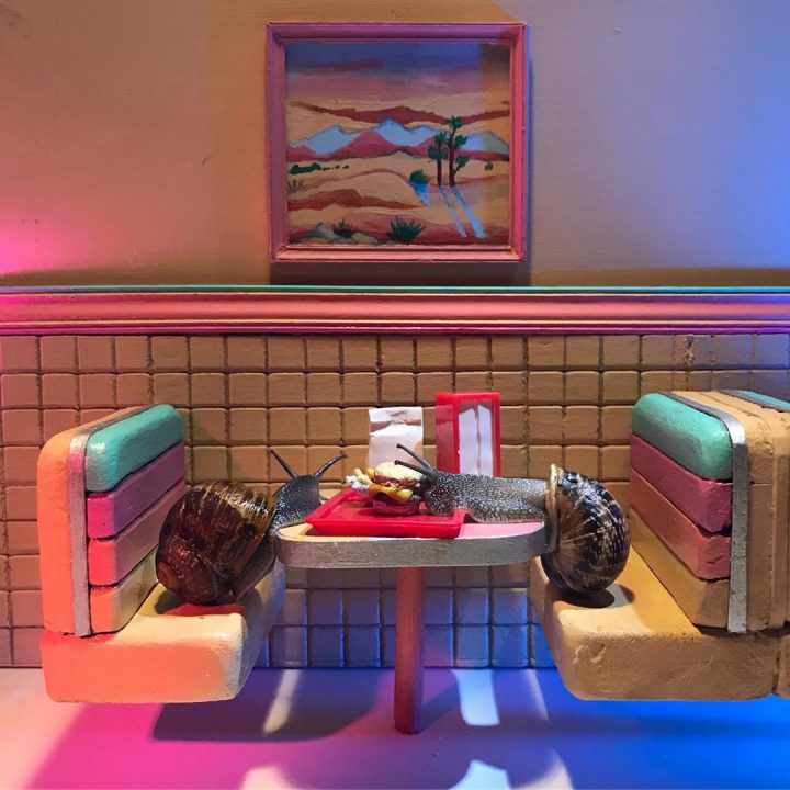 monde miniature escargots 13