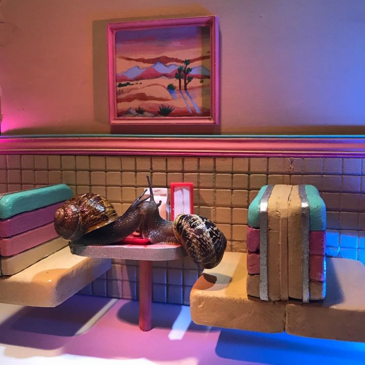 monde miniature escargots 14