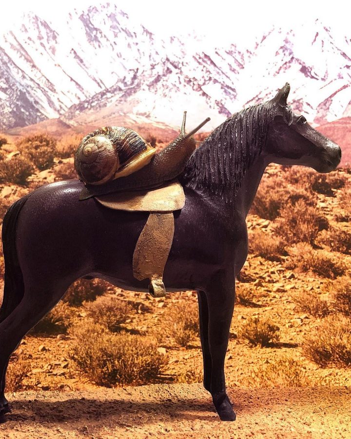 monde miniature escargots 15