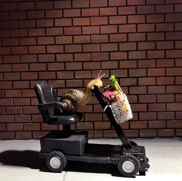 monde miniature escargots 16