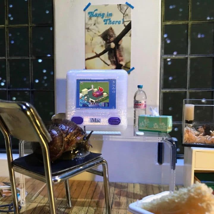 monde miniature escargots 17