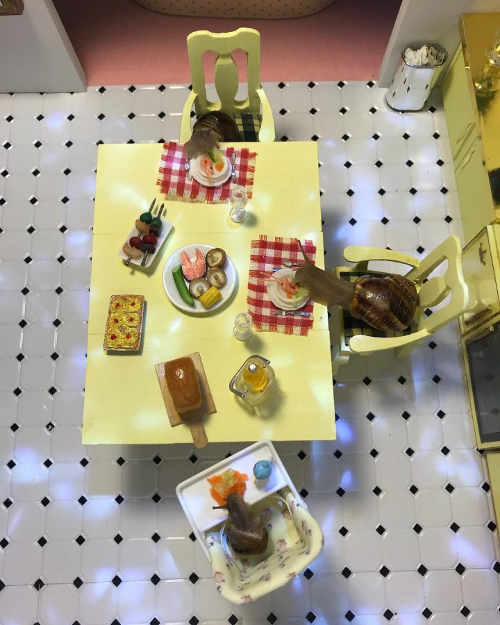 monde miniature escargots 18