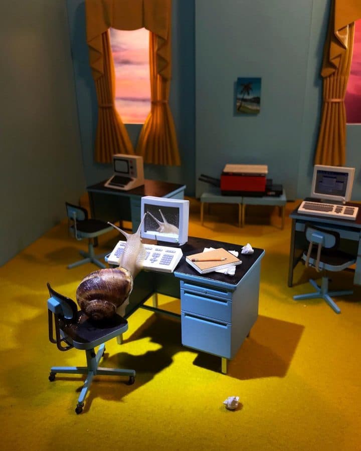 monde miniature escargots 19