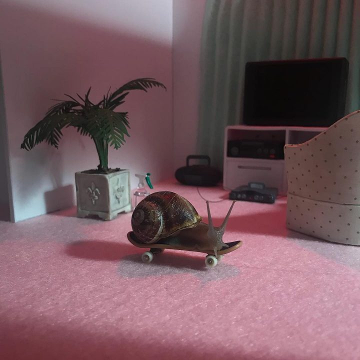 monde miniature escargots 20
