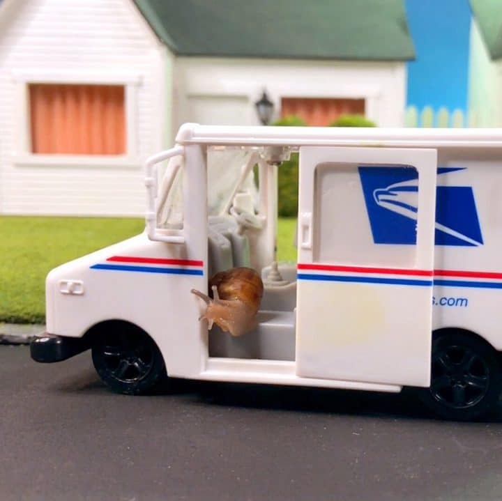 monde miniature escargot 7