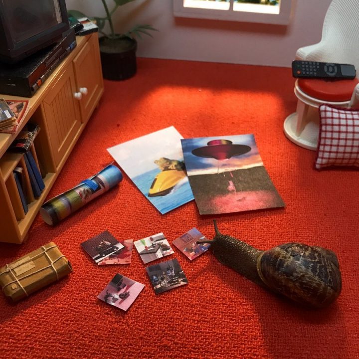 monde miniature escargot 8