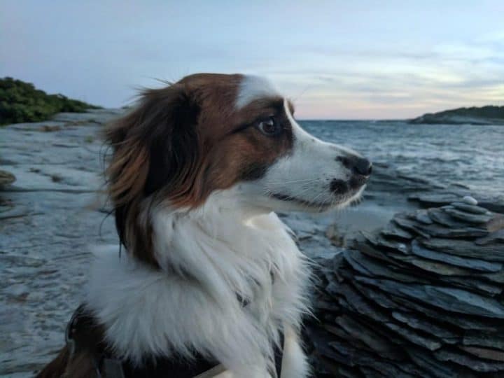 Photos moment vie avant et après 5