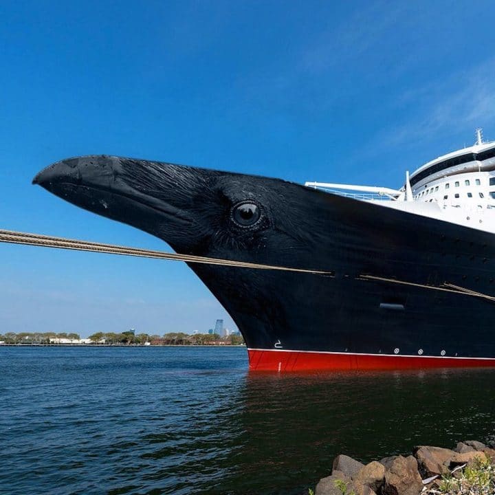 Photoshop animaux 12