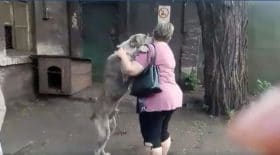 Elle retrouve son chien deux ans après