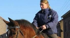 un-cheval-meurt-dune-crise-cardiaque-a-cause-des-feux-dartifice-du-nouvel-an