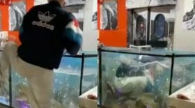 aquarium