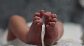 Bébé
