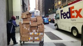 chauffeur FedEx chienne