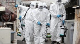 coronavirus virus chine USA