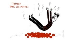 expressions francaises