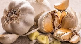 lail-le-top-3-des-maladies-quil-nous-aide-a-combattre