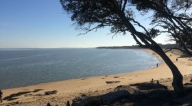 Noirmoutier cas suspects