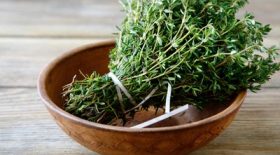 thym vertus bénéfiques santé